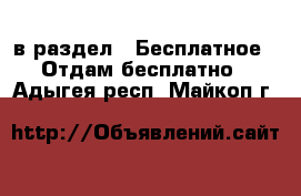  в раздел : Бесплатное » Отдам бесплатно . Адыгея респ.,Майкоп г.